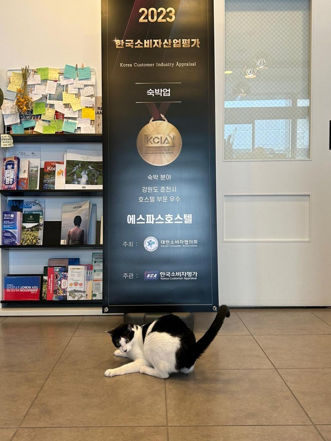 Hostel Espace Chuncheon Luaran gambar